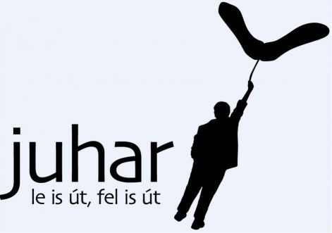 juhar.jpg